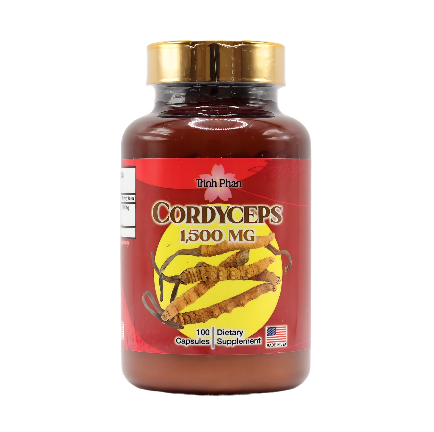 Cordyceps